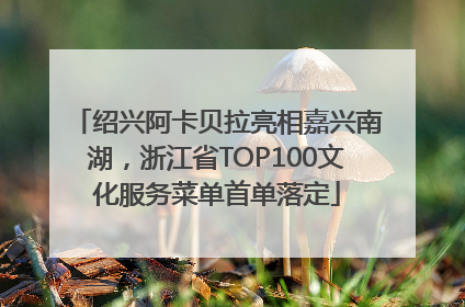 绍兴阿卡贝拉亮相嘉兴南湖，浙江省TOP100文化服务菜单首单落定